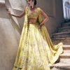 Womens Paulmi u0026 Harsh | Lime Yellow Vintage Floral Printed And Hand Embroidered Lehenga Set