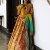 Bridal Petticoat Lane | Panel Lehenga Set With Ombre Dupatta