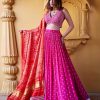 Womens Chamee and Palak | Mala Jamewar Lehenga Set