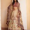 Womens Label Anushree | Rust Embroidered Paneled Lehengas Set