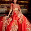 Womens Petticoat Lane | Trellis Red Lehenga Set