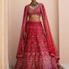 Bridal Chamee and Palak | Kate Lehenga Set