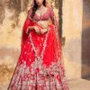 Bridal Dolly J | Idalia Red Raw Silk Bridal Lehenga